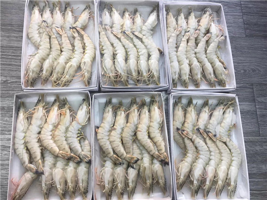 越南冷凍黑虎蝦進(jìn)口報關(guān)資料到江蘇無(wú)錫草蝦案例