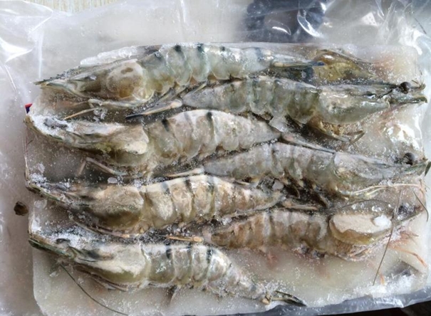 馬來(lái)西亞冷凍蝦進(jìn)口報關(guān)流程到天津南美白對蝦案例