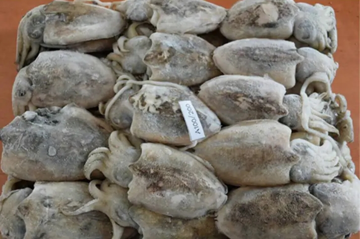 馬來(lái)西亞冷凍墨魚(yú)進(jìn)口報關(guān)流程