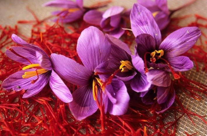 伊朗西紅花進(jìn)口清關(guān)流程到廣州白云機場(chǎng)藥材案例