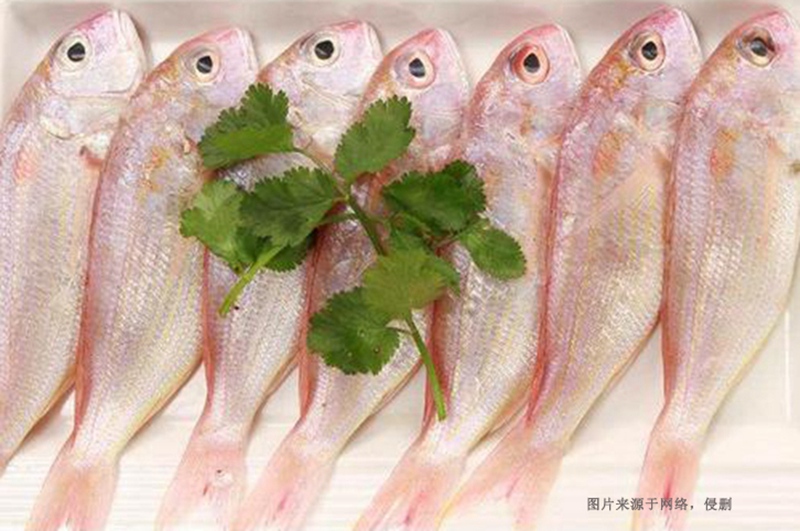越南冷凍魚(yú)進(jìn)口清關(guān)資料到深圳代理胡志明海運案例