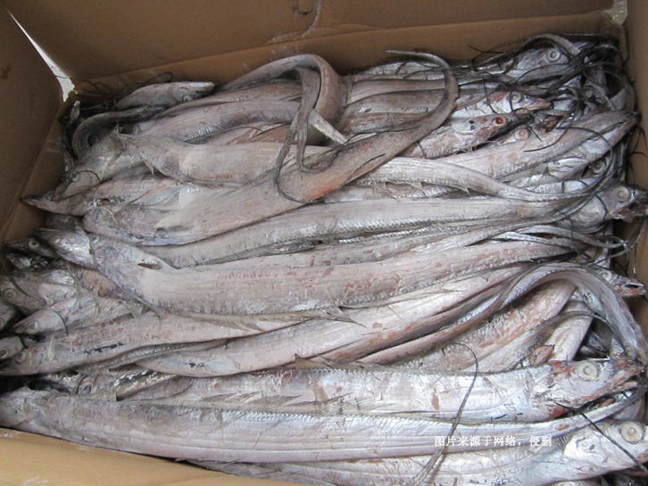 馬來(lái)西亞到青島進(jìn)口冷凍帶魚(yú)報關(guān)資料水產(chǎn)品案例