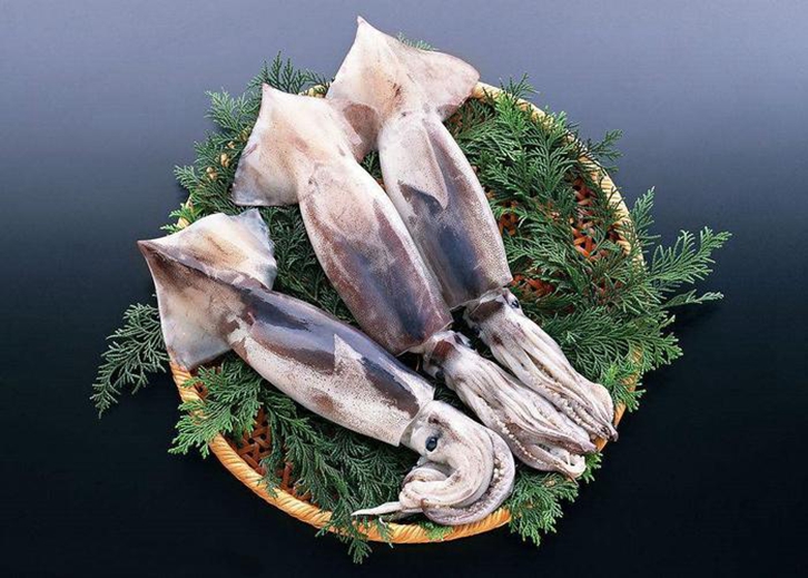 馬來(lái)西亞冷凍墨魚(yú)進(jìn)口報關(guān)流程到廣州南沙港案例