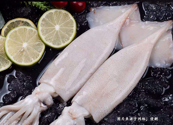 印尼冷凍魷魚(yú)進(jìn)口報關(guān)流程