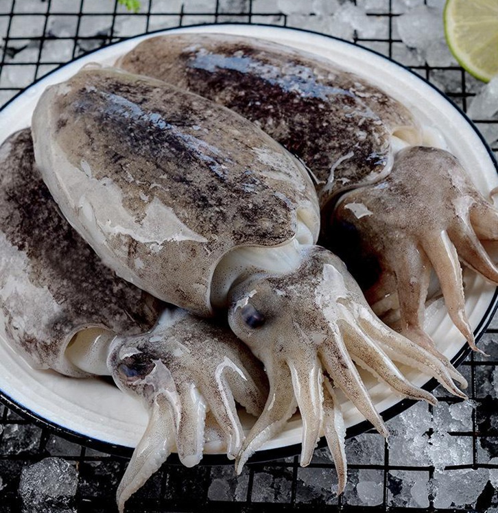 摩洛哥冷凍墨魚(yú)進(jìn)口報關(guān)費用