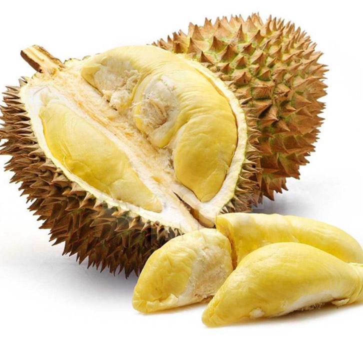 馬來(lái)西亞冷凍榴蓮進(jìn)口報關(guān)資料
