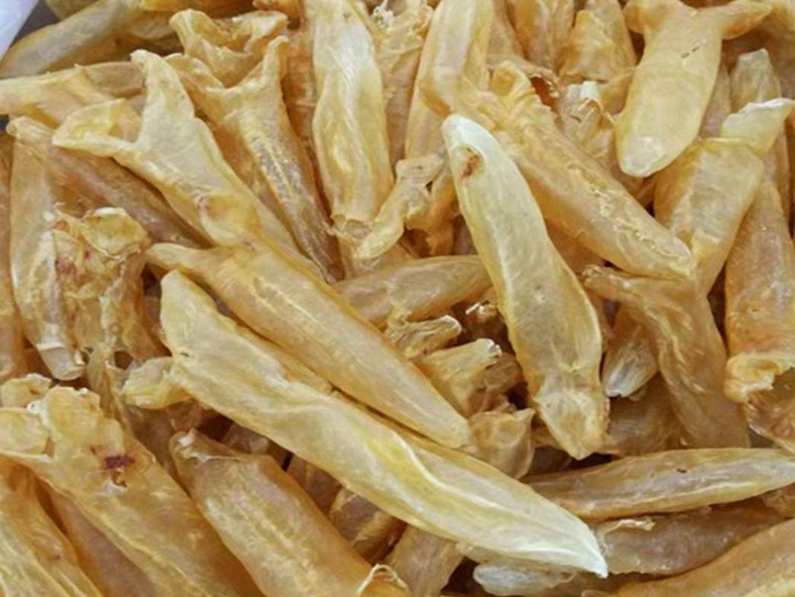 上海進(jìn)口印尼魚(yú)翅報關(guān)資料
