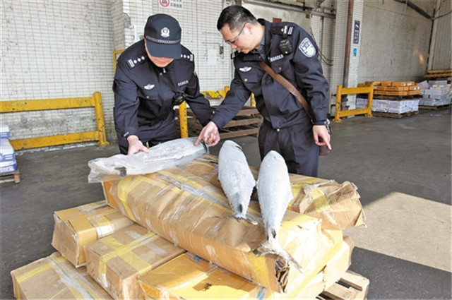 菲律賓凍魚(yú)進(jìn)口報關(guān)