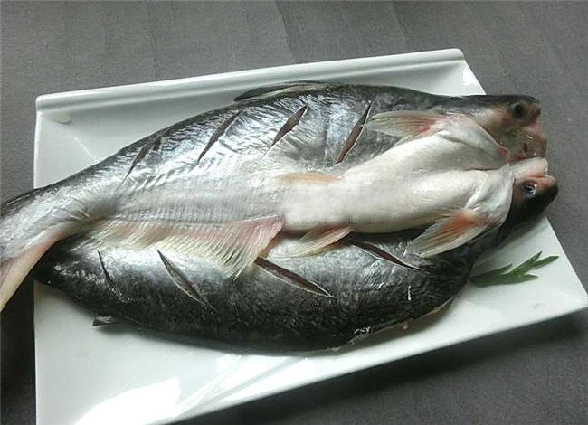 冷凍巴沙魚(yú)進(jìn)口報關(guān)