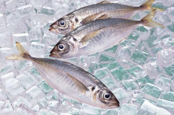 青島冷凍魚(yú)進(jìn)口清關(guān)實(shí)用知識，建議看看_副本.jpg