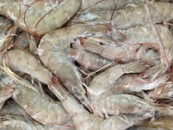 冷凍水產(chǎn)品進(jìn)口清關(guān)資料簡(jiǎn)介_(kāi)進(jìn)口水產(chǎn)品標簽問(wèn)題_副本.jpg