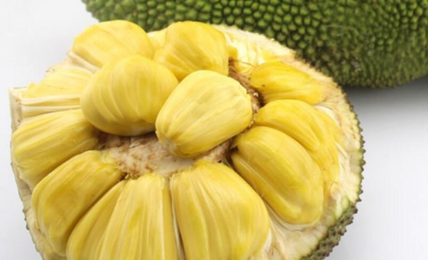 進(jìn)口越南菠蘿蜜報關(guān)_副本.jpg