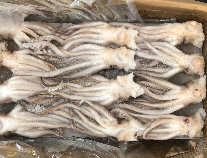 冷凍魷魚(yú)進(jìn)口報關(guān)_副本.jpg