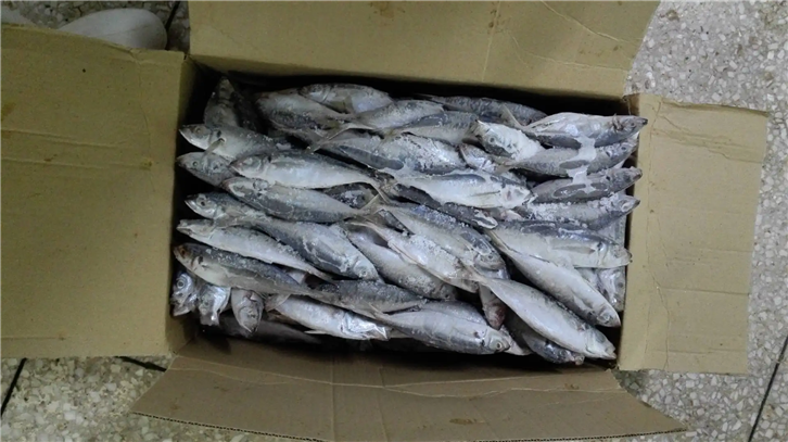 廈門(mén)港冷凍魚(yú)報關(guān)公司.png
