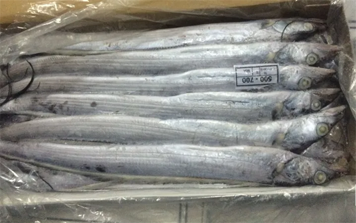 上海冷凍帶魚(yú)進(jìn)口報關(guān)公司.png