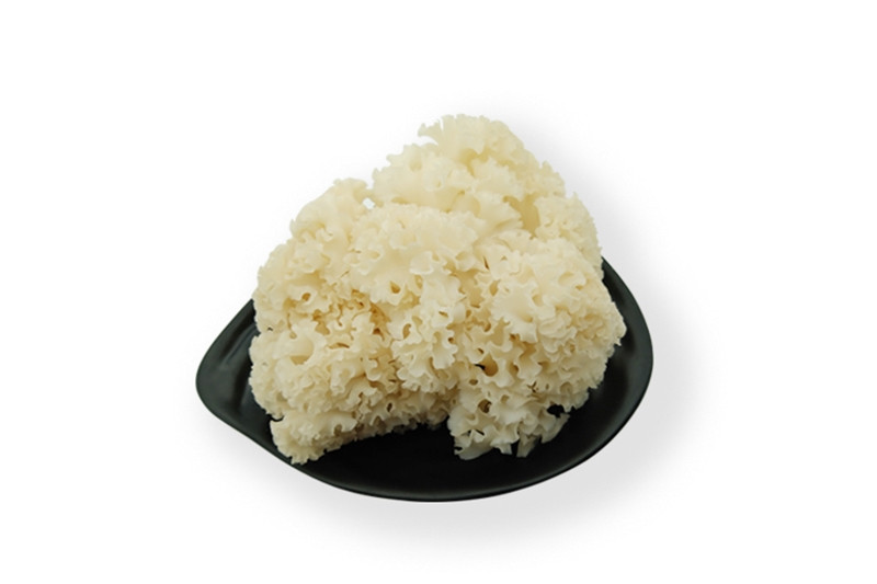 進(jìn)口營(yíng)養植物報關(guān)