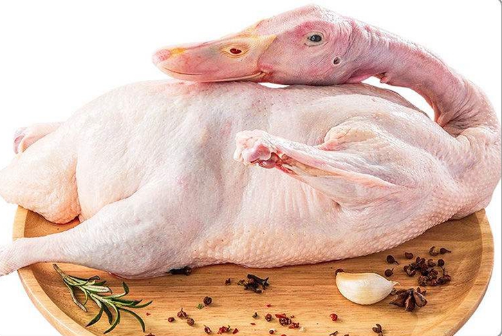 泰國冷凍鴨肉進(jìn)口報關(guān)手續