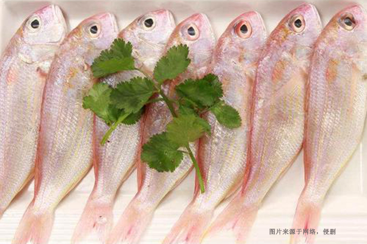 巴基斯坦金線(xiàn)魚(yú)進(jìn)口報關(guān)資料