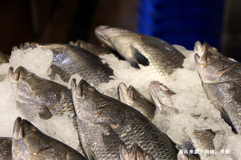 廣州鱸魚(yú)進(jìn)口報關(guān)流程