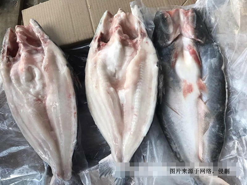 越南冷凍巴沙魚(yú)進(jìn)口報關(guān)資料