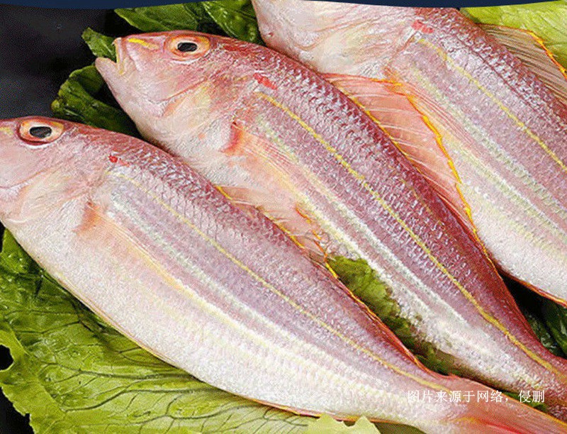 越南冷凍金線(xiàn)魚(yú)進(jìn)口報關(guān)流程