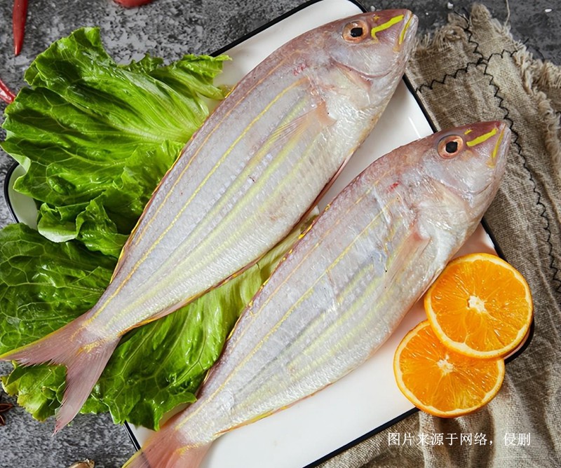 上海進(jìn)口越南金線(xiàn)魚(yú)報關(guān)流程