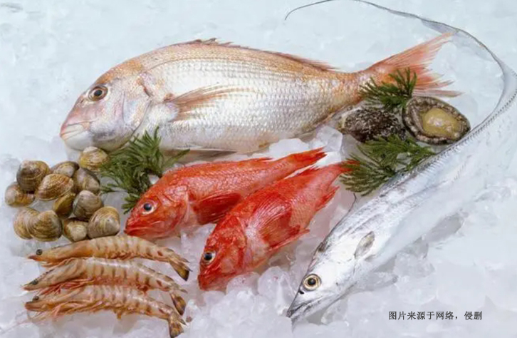 上海進(jìn)口巴基斯坦水產(chǎn)品報關(guān)資料